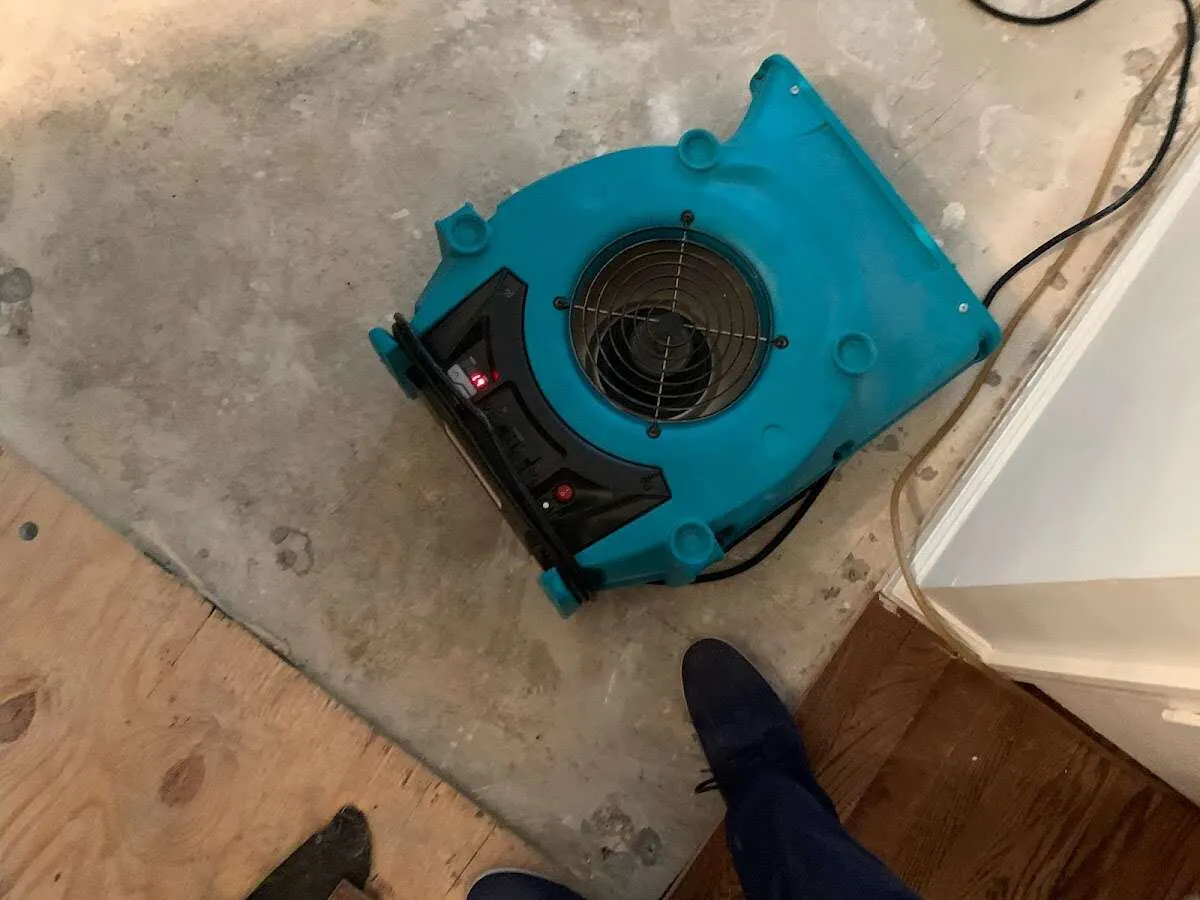 Air mover drying subfloor during Commercial Water Damage Restoration in Bethel